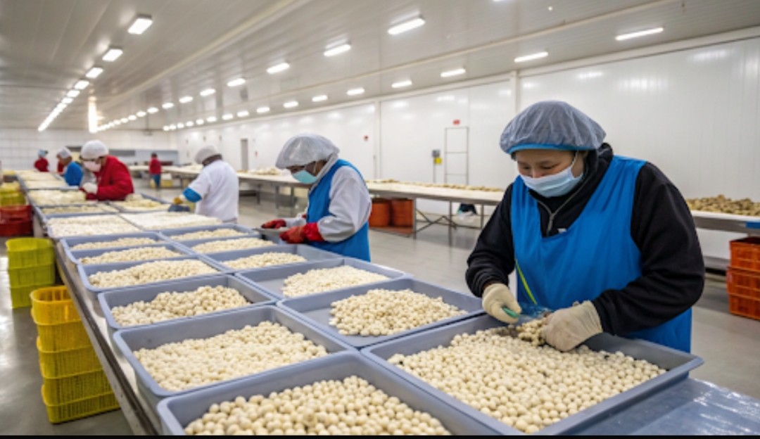 Makhana Packaging